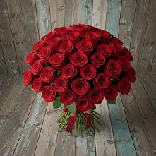 Букет 55 Красных роз Фридом #REPLACE_PRED# Котово