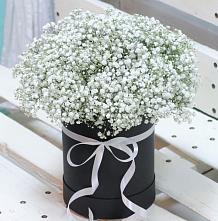 Цветочная композиция из Гипсофила в шляпной коробке в Котово