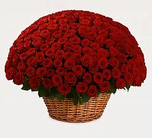 Премиум букет из: Розы #REPLACE_PRED# Котово