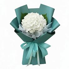 Букет цветов из:  Гортензия #REPLACE_PRED# Котово